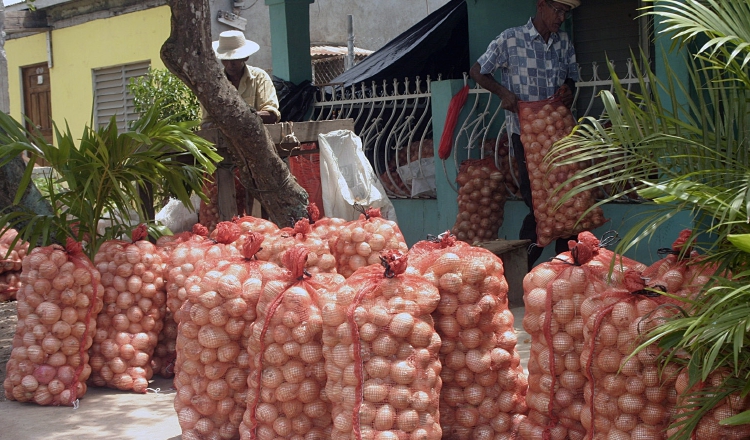 Importación golpea el mercado. /Foto Archivo