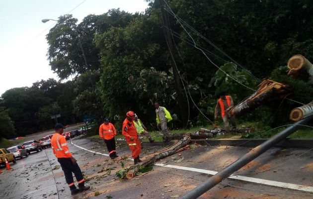 Extienden alerta verde hasta el miércoles, 1 de agosto. Foto/Cortesía