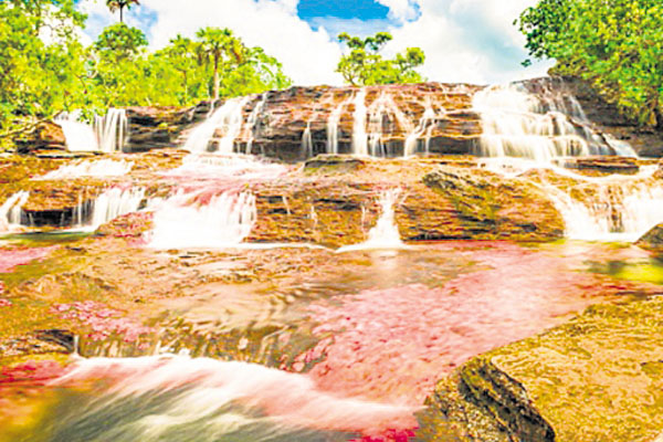 Caño Cristales