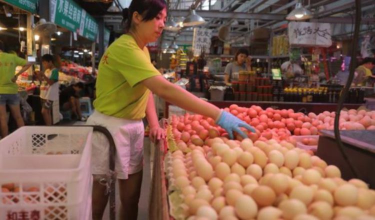 Cerdos a dieta para capear la guerra comercial. /Foto Cortesía