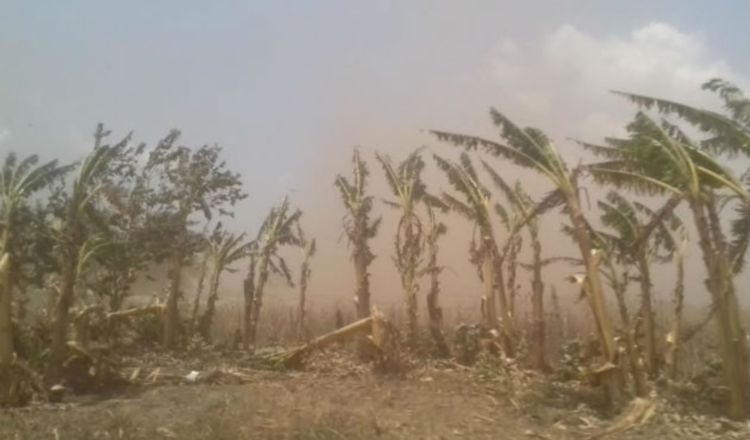 Autoridades panameñas desmintieron que el país fuera afectado por la nube. /Foto: Panamá América