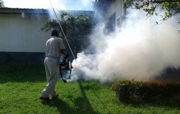 Realizan operativos contra bajar los niveles de criaderos de mosquitos. Foto/Mayra Madrid