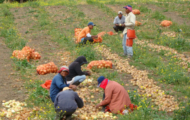 Productores en alerta ante pretensiones del Gobierno.