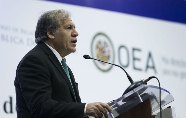 Luis Almagro, secretario general de la OEA. Foto: EFE.