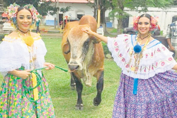 Lucen su vestido con orgullo.
