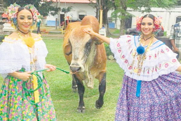 Lucen su vestido con orgullo. 