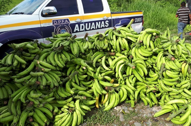 Los productores en Bocas del Toro denunciaron que el contrabando se da en la área fronteriza con Costa Rica.