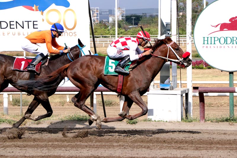 Manolín competirá en un evento de 1,400 metros.