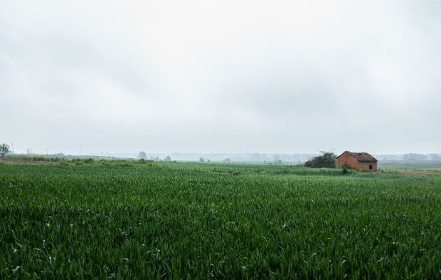 La mitad de los habitantes de China vive en el campo, pero el Estado es dueño de la tierra. Foto/ Lam Yik Fei para The New York Times.