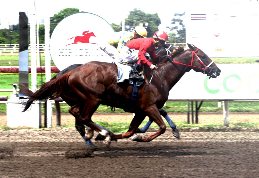 Látigo ganó su última en una lucha difícil con J.D. Saturday.