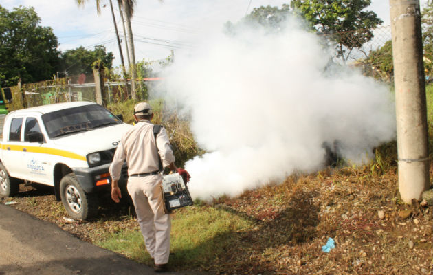 Evitar la proliferación de mosquitos depende de la población y las autoridades en un trabajo conjunto. Foto:Archivo/Ilustrativa.