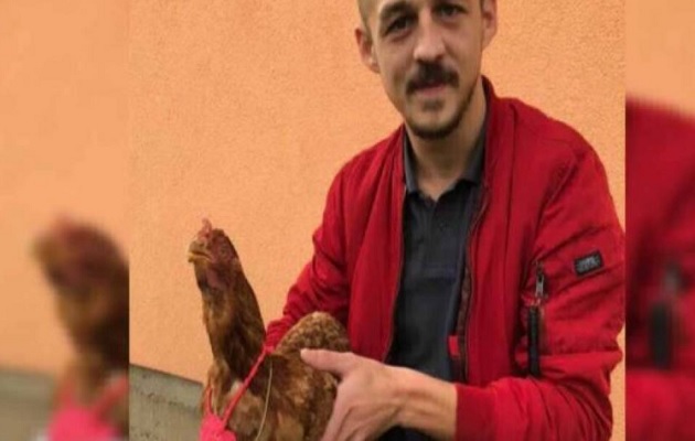 Ivan Gazdek repuso la gallina que mató.