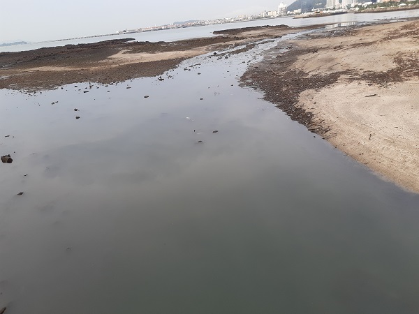 La desembocadura del río Matasnillo, hasta donde llegaría una de las dos playas de la bahía. Foto de Epasa