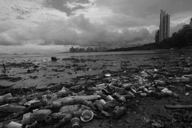 El problema de la basura en Costa del Este, privilegiado lunar de nuestra metrópolis. Tenemos que reprogramar al homo Sapiens Panamensis para que no sea tan cochino. Foto: Archivo. 