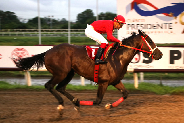  Van Daelen ganó cómodamente con Luis Arango.