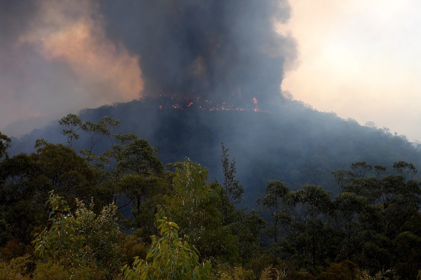 Una vista del incendio de la montaña Gospers que arde en matorrales cerca de Colo Heights, al noroeste de Sídney, Nueva Gales del Sur, Australia. FOTO/AP