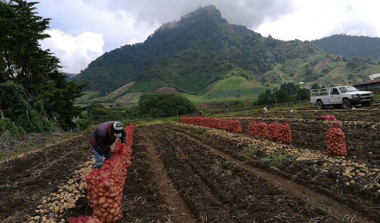 Los productores indican que creación de Senta no fue consultada.