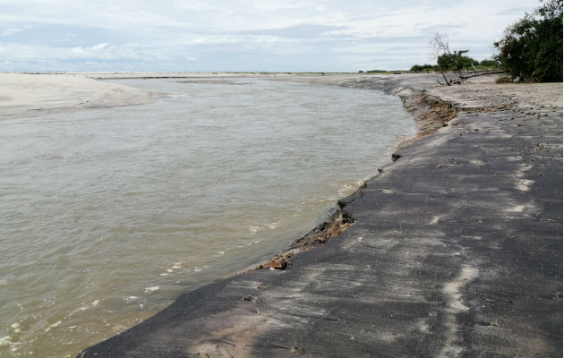 Para el alcalde de Chame, Abdul Juliao, esta práctica está causando daños a las playas de Punta Chame. Foto: Eric A. Montenegro.