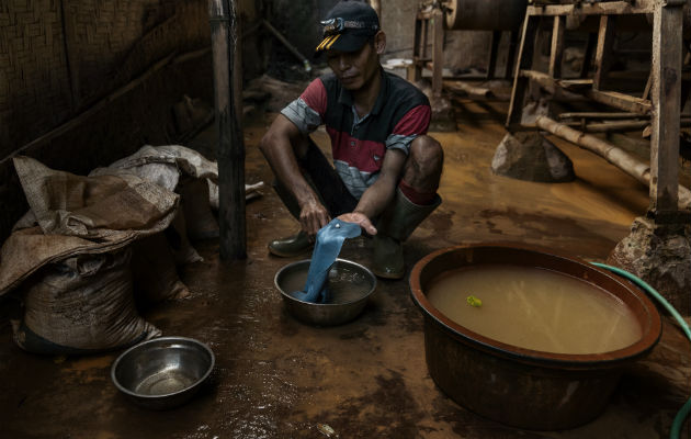 Un minero con un trozo de oro y mercurio. Esta técnica es la principal causa de contaminación con mercurio. Foto/ Adam Dean.