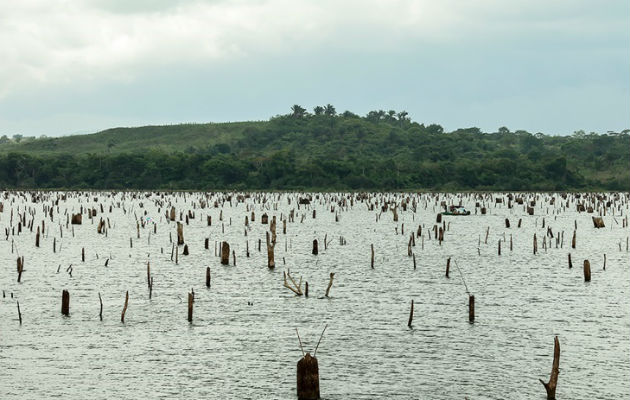 Gatún y Alhajuela son lagos artificiales que almacenan el agua de las lluvias que caen en la Cuenca Hidrográfica.