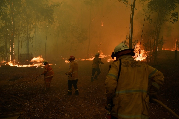 Los incendios forestales azotan a Australia desde el 1 de julio de este año.