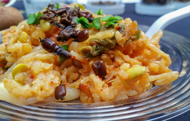 Arroz pilaf con termitas. Un reporte de la ONU señala que el mundo se beneficiaría con proteínas de bichos. Foto/ Justin Butner.