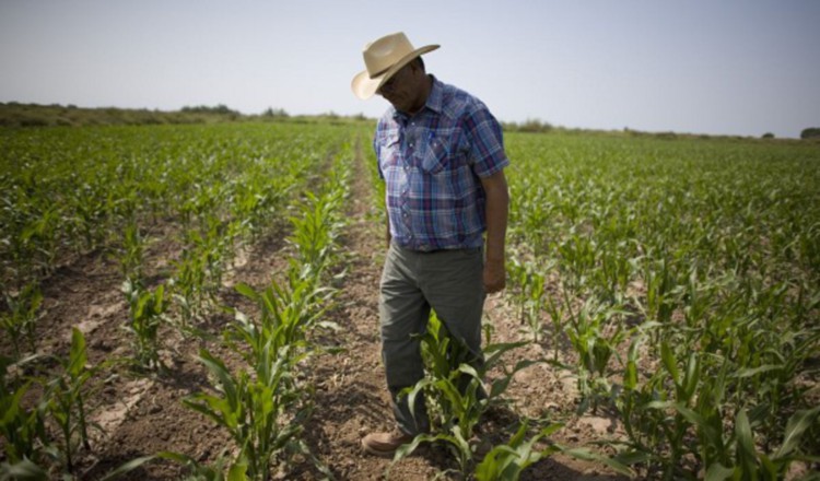 Los productores y comerciantes piden que el proyecto sea debatido con las partes involucradas.