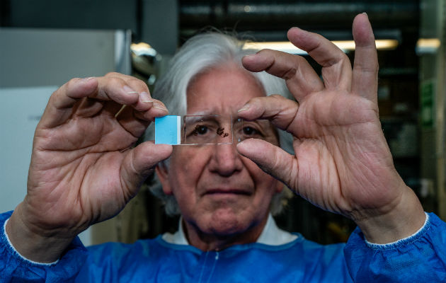 Francisco Lopera ha estudiando una extensa familia colombiana para aprender sobre Alzheimer. Foto/ Federico Rios.