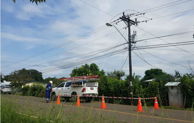 La yegua aparentemente hizo contacto con un cable que se bajaba del poste dentro del potrero. Foto: Thays Domínguez.