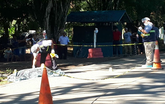 Colisionó con un vehículo articulado tipo mula en Finca Ceiba en el corregimiento de Manaca. Foto: Mayra Madrid.