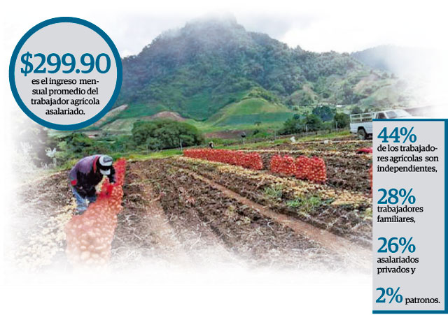 En el 2009 la fuerza laboral agrícola era de 188 mil 588 trabajadores.