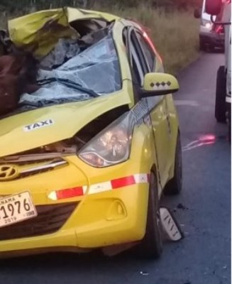 El conductor salió ileso del accidente donde el vehículo quedó prácticamente destruido por el equino. Foto/José vásquez