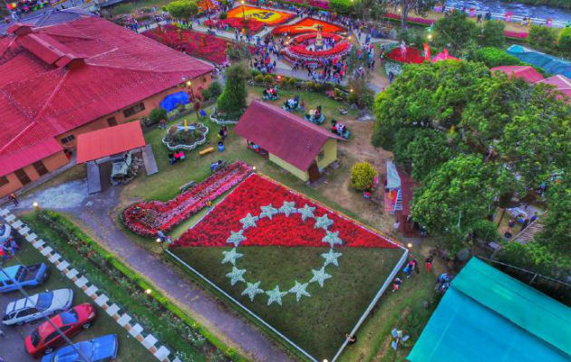 Desde el 9 de enero de 2020 hasta el 19 se llevará a cabo la Feria de las Flores y el Café, en el distrito de Boquete. Foto: Cortesía.