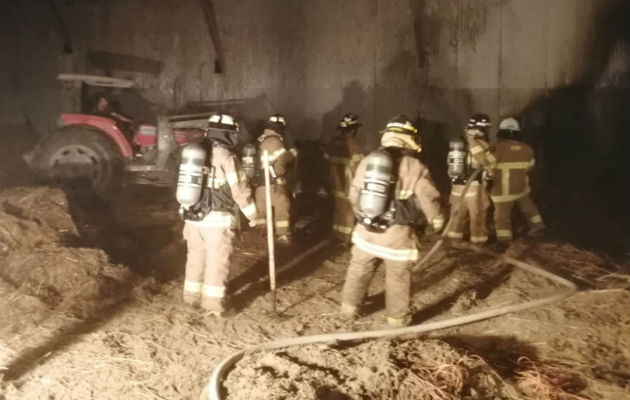 La rápida acción de los bomberos evitó que el incendio se propagara. Foto: Thays Domínguez.