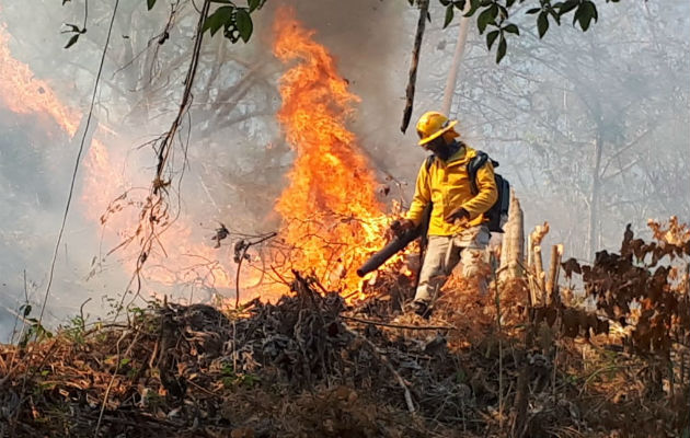 El castigo con cárcel por incendio forestal es de 1 a 3 años en Panamá. Foto/Archivos