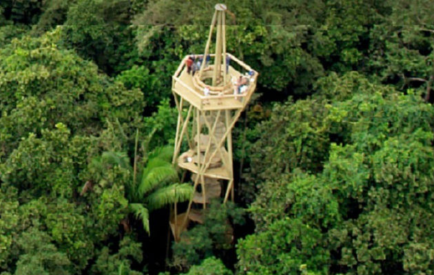 En el camino del oleoducto, ubicado en el Parque Nacional Soberanía, se puede hacer el recorrido en bicicleta de montaña. Foto: ATP.