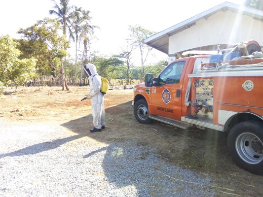 El año pasado se registró la muerte de un ciudadano por picada de abejas y se registraron más de 20 ataques a personas en los distritos de David, Bugaba, San Lorenzo y Alanje.