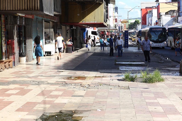 Los dueños de los permisos temporales se buhonería estaban establecidos en Calidonia, la Peatonal y algunos parques municipales. Foto: Cortesía