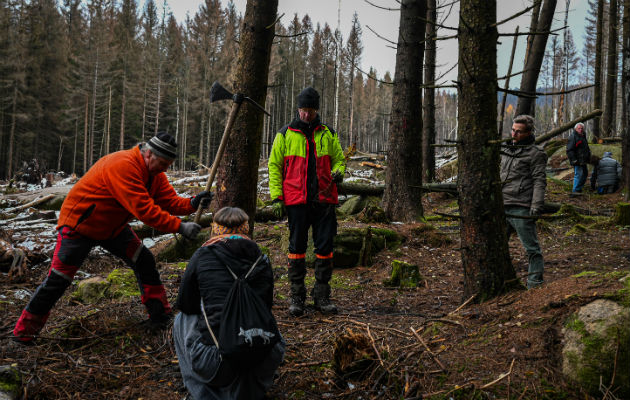 Bosques son fuente de inspiración en Alemania y la gente lucha por salvarlos. Olaf Eggert (centro), guardabosques, con voluntarios en siembra de árboles en Schierke. Foto/ Lena Mucha para The New York Times.