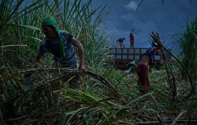 Millones de trabajadores de plantación viven en condiciones casi feudales. Cortan caña de azúcar en Kabankalán. Foto / Jes Aznar para The New York Times.