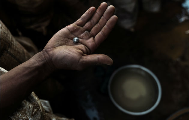Los mineros ilegales usan mercurio para extraer oro de minerales, ignorando los peligros. Pepita de mercurio y oro. Foto / Adam Dean para The New York Times.