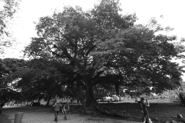 El Ministerio de Ambiente (MiAmbiente) es la institución encargada de la elaboración y presentación de los estudios de impacto ambiental, su evaluación y la emisión de sus respectivas resoluciones en Panamá. Foto: Archivo. Epasa.