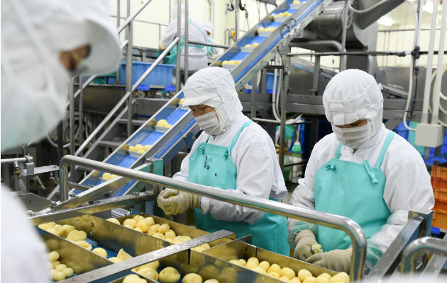 Limpiar papas es labor sólo apta para humanos. En una fábrica en Asahikawa, robots no pudieron con esa tarea. Foto / Noriko Hayashi para The New York Times.