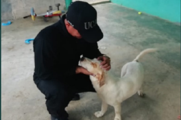 El perro se encuentra estable, según informó la Policía.