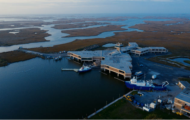 El Centro Marino W.J. DeFelice toma acciones para mitigar el riesgo de inundación al aumentar el nivel del mar. Foto / Bryan Tarnowski para The New York Times.