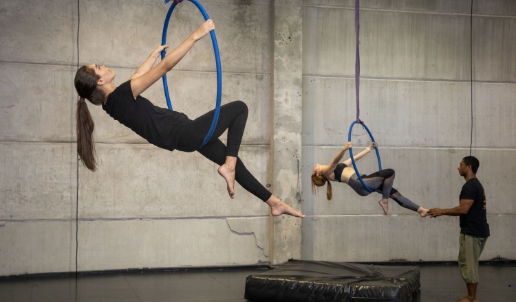 Danza aérea. Foto: Cortesía