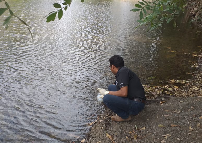 En  la parte alta del río Guararé, presenta  menos niveles de contaminación, pero existe un proceso de deforestación agresivo, lo que ha provocado que su caudal baje considerablemente. FOTO/Thays Domínguez