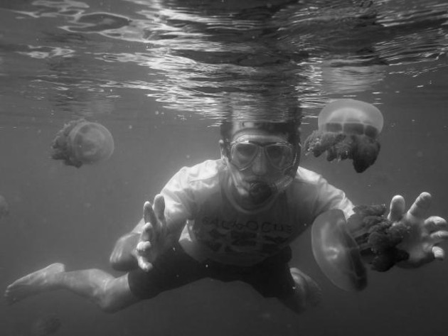 Las ciencias nacen gracias a la angustia lúcida de los que se preguntaban por el fondo de las cosas. Las medusas del lago de agua salada de Kakaban, en Indonesia, atraen a los exploradores.  Foto: EFE.