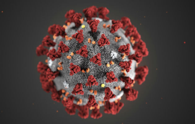 Imagen del coronavirus (2019-nCoV) surgido en la ciudad de Wuhan, China. Foto: AP.