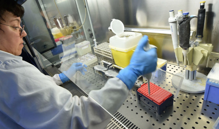 Un asistente de laboratorio prepara una prueba para el coronavirus. Foto EFE